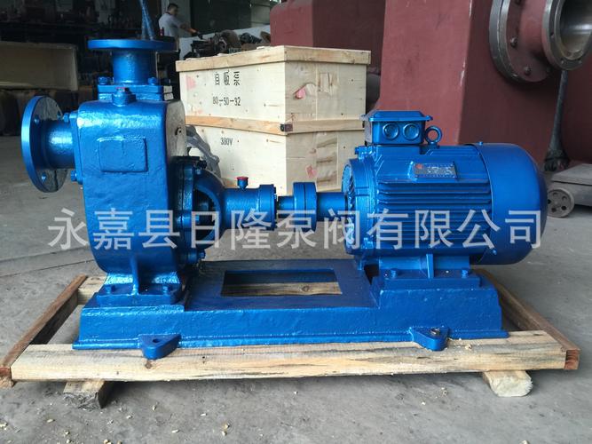 工业排污利器 深入解析15铸铁自吸泵与自吸排污泵的选型与应用